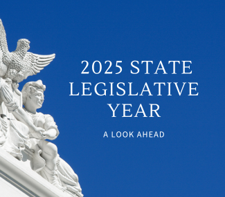 2025 state legislative year